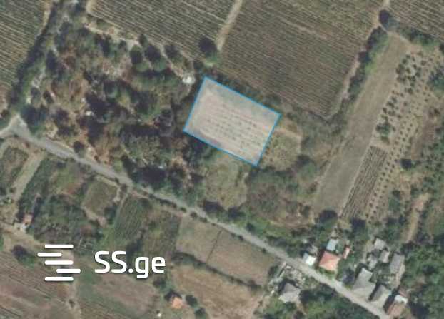 Land For Sale. Telavi, 1 of 1