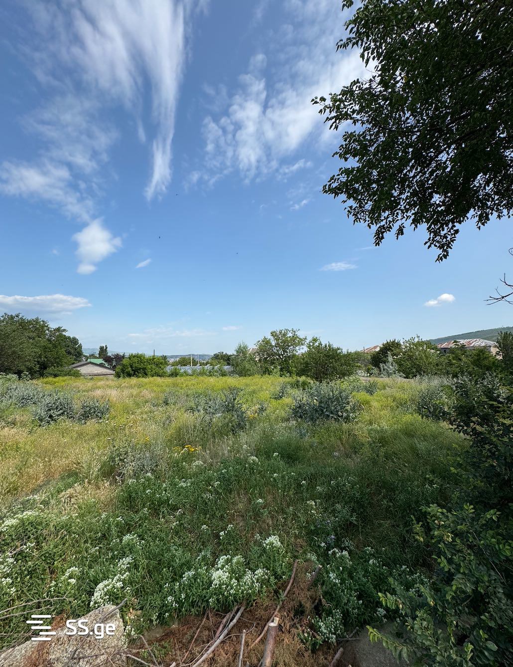 Land For Sale. Chugureti view 4