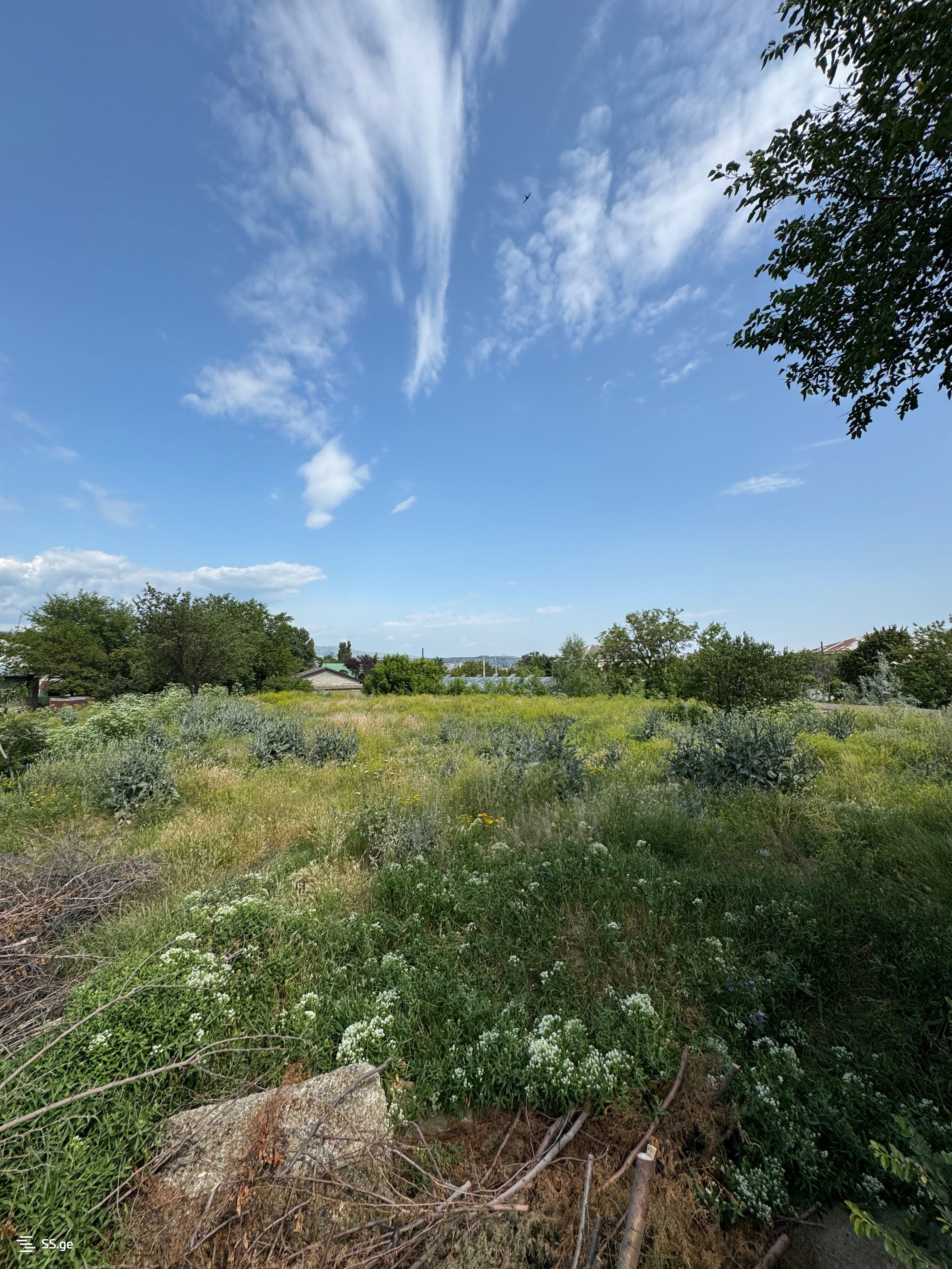 Land For Sale. Chugureti, 4 of 4