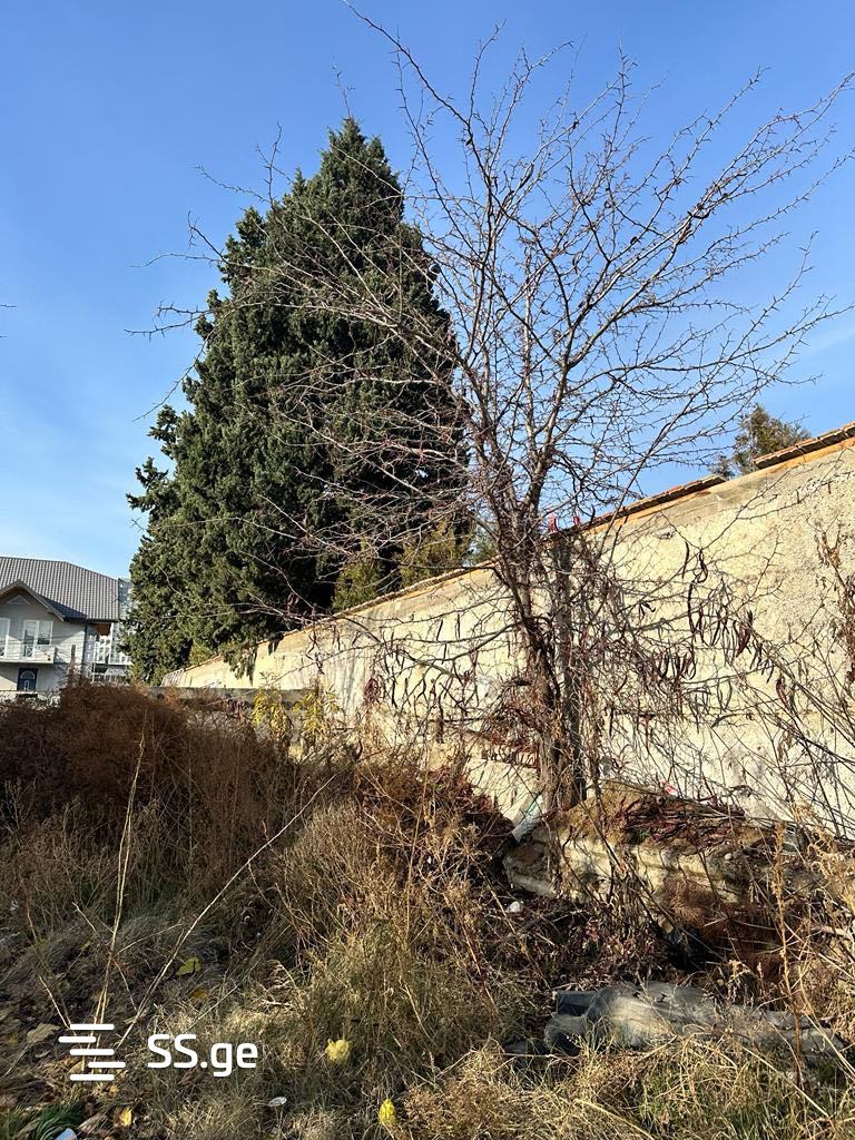 Land For Sale. Digomi view 9