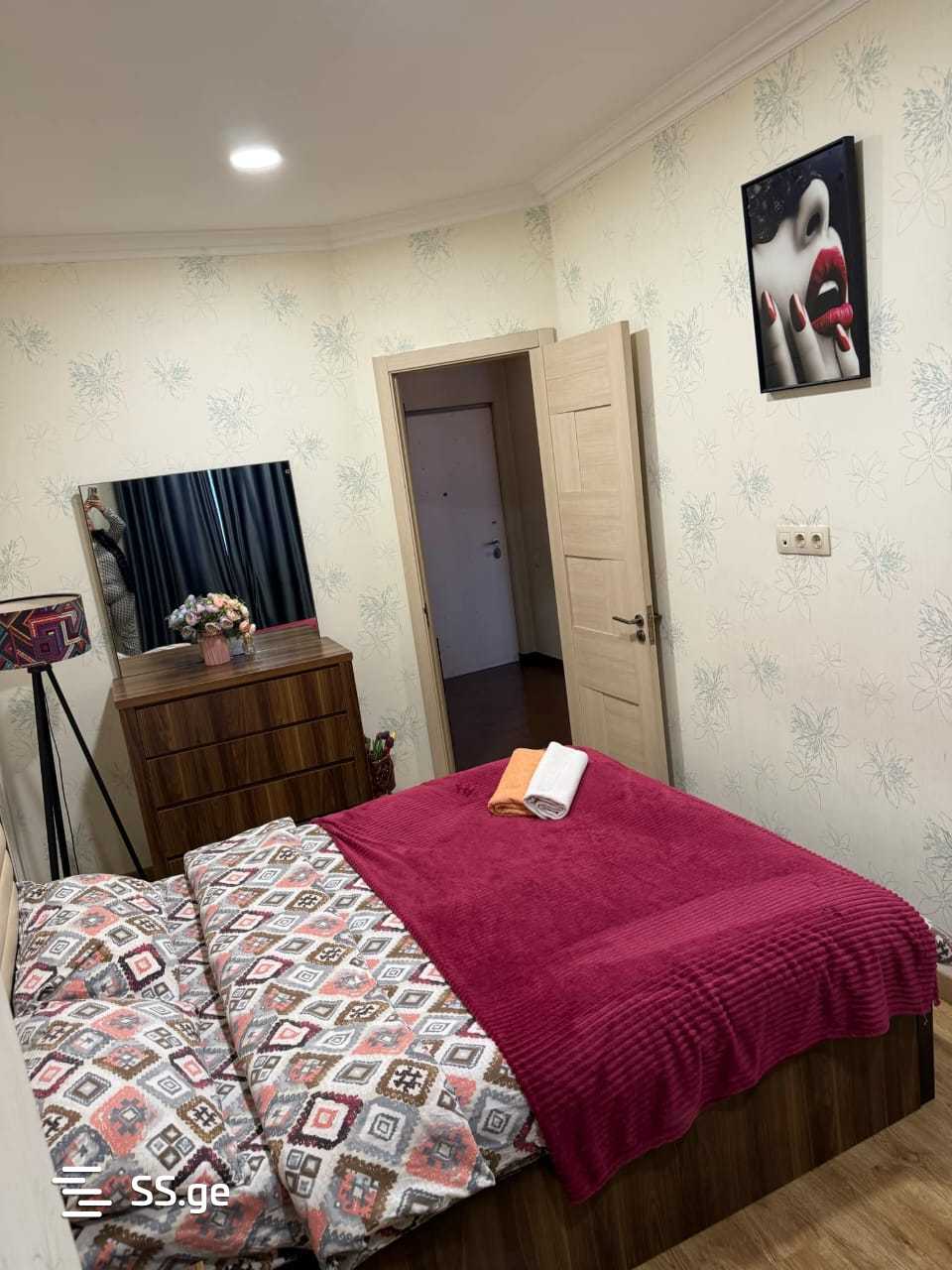 2 Room Flat Daily Rent. Nadzaladevi view 4
