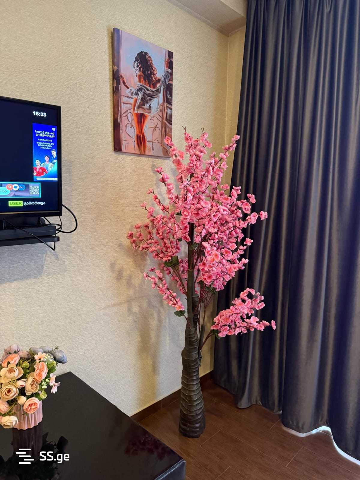 2 Room Flat Daily Rent. Nadzaladevi view 1