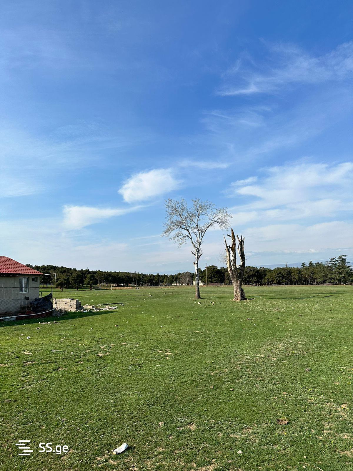 Land For Sale. Gardabani, 3 of 4