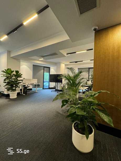 https://static.ss.ge/20250616/9_56ab8a16-15ce-409d-90ad-5fff6b34e715_Thumb.jpg