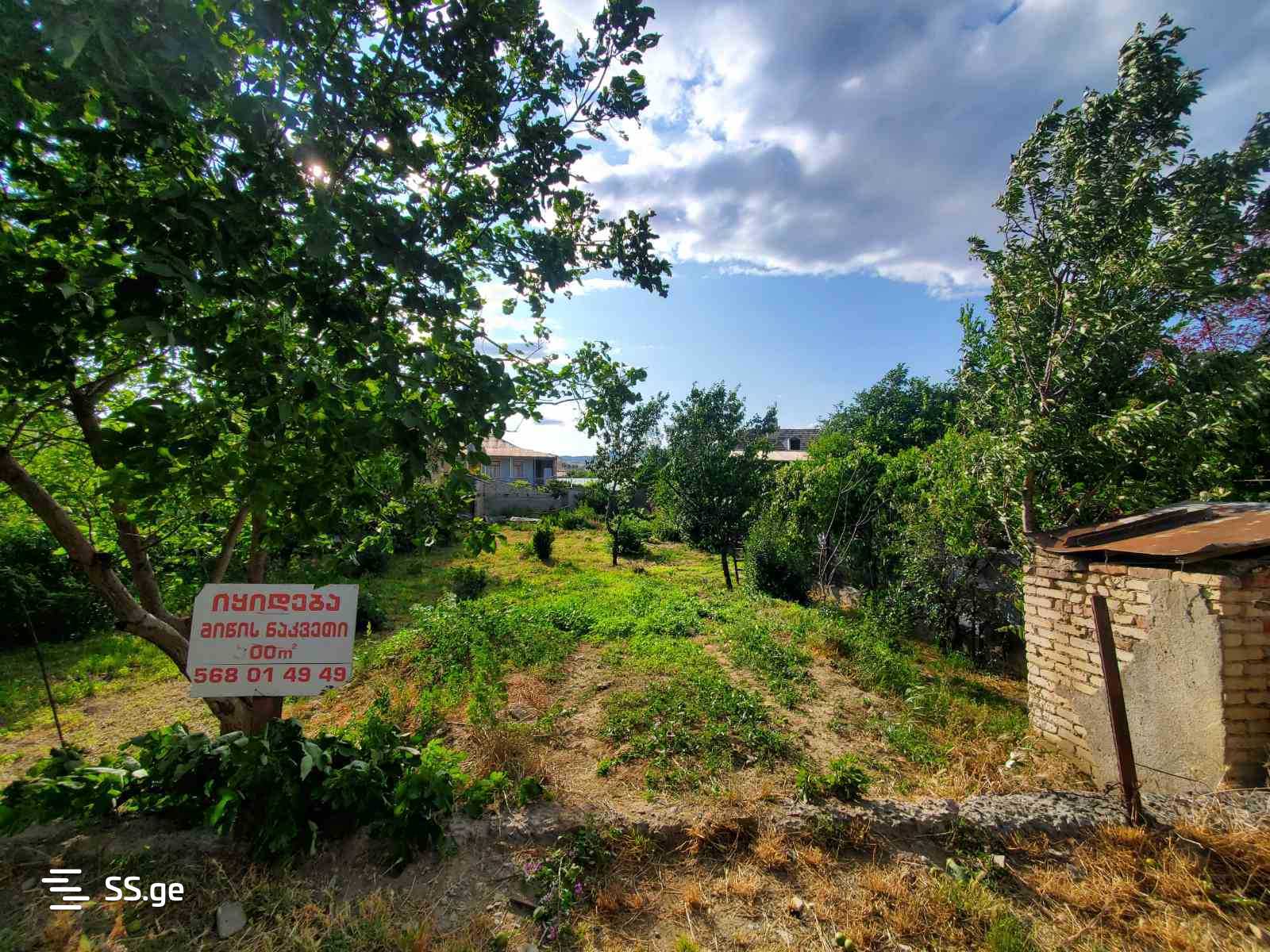 Land For Sale. Digomi village - Ansicht 2