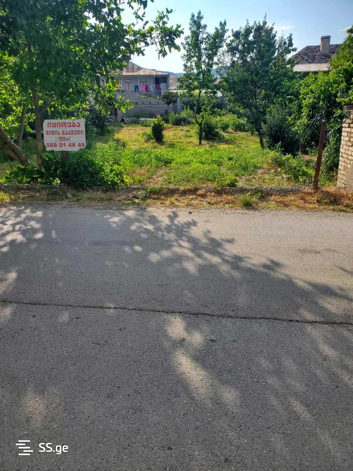 Land For Sale. Digomi village - Ansicht 4