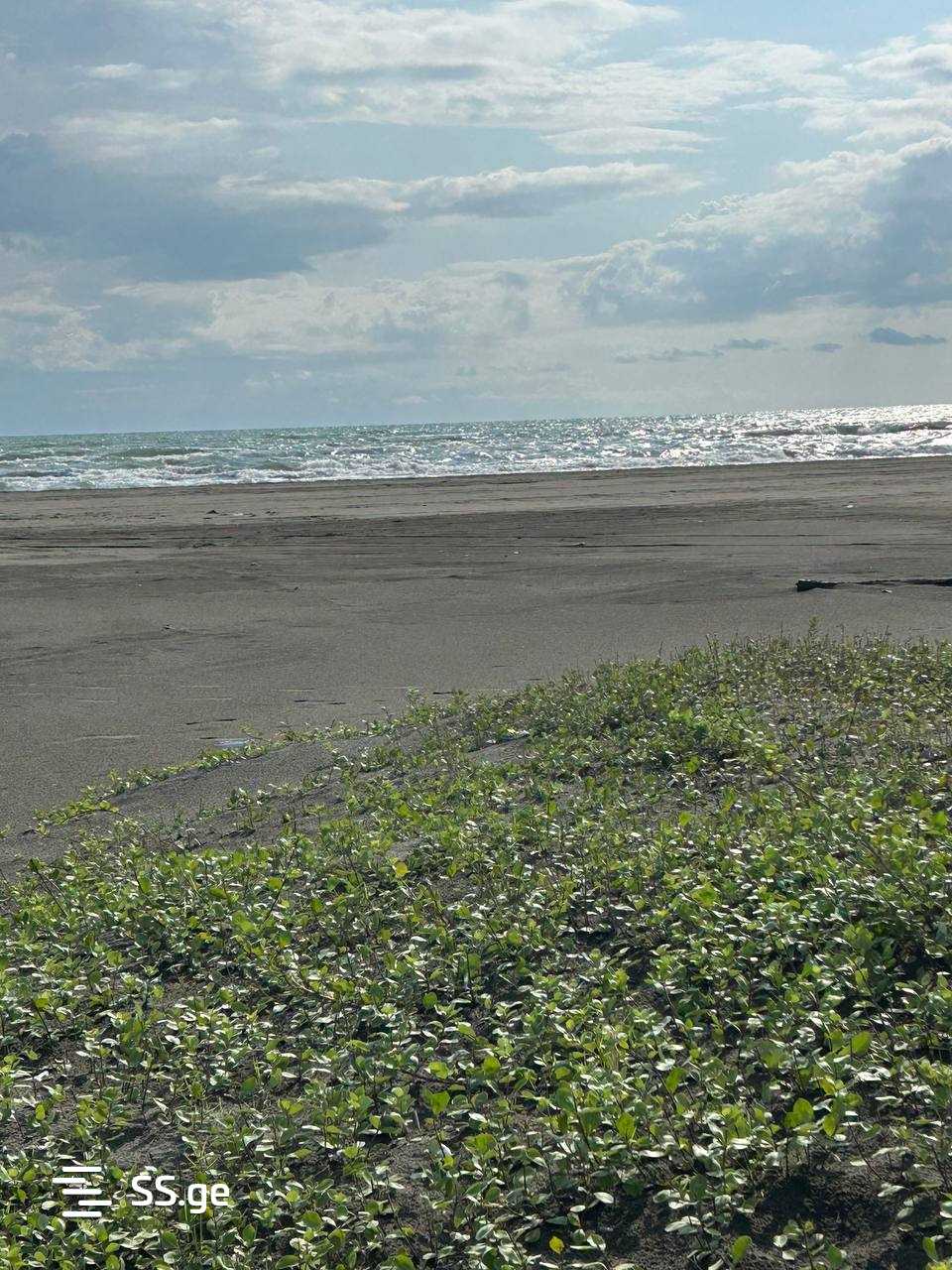 Land For Sale. Grigoleti view 3