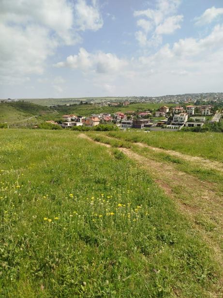 https://static.ss.ge/20250617/2_5ea3d9a2-30ff-41c4-a45b-b980d4b099ce_Thumb.jpg