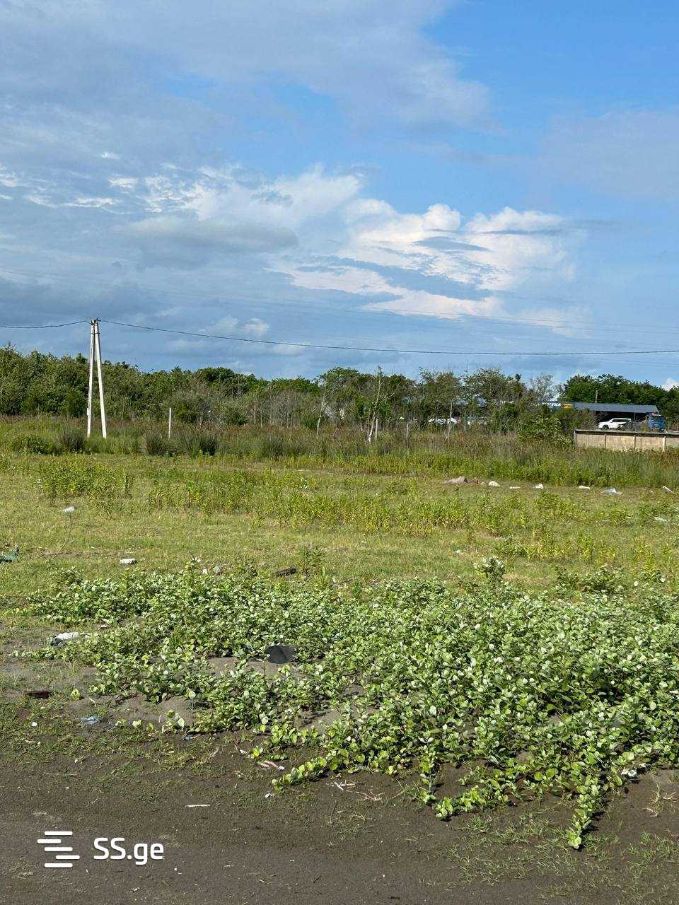 Land For Sale. Grigoleti view 4