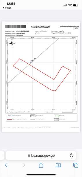 https://static.ss.ge/20250618/1_c2c96cfb-af58-4c91-94ec-e58d82b4fb04_Thumb.jpg