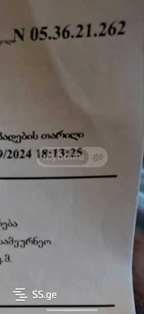 https://static.ss.ge/20250618/3_eab23f63-dd6d-45af-8be0-d0bae9e35a9e_Thumb.jpg