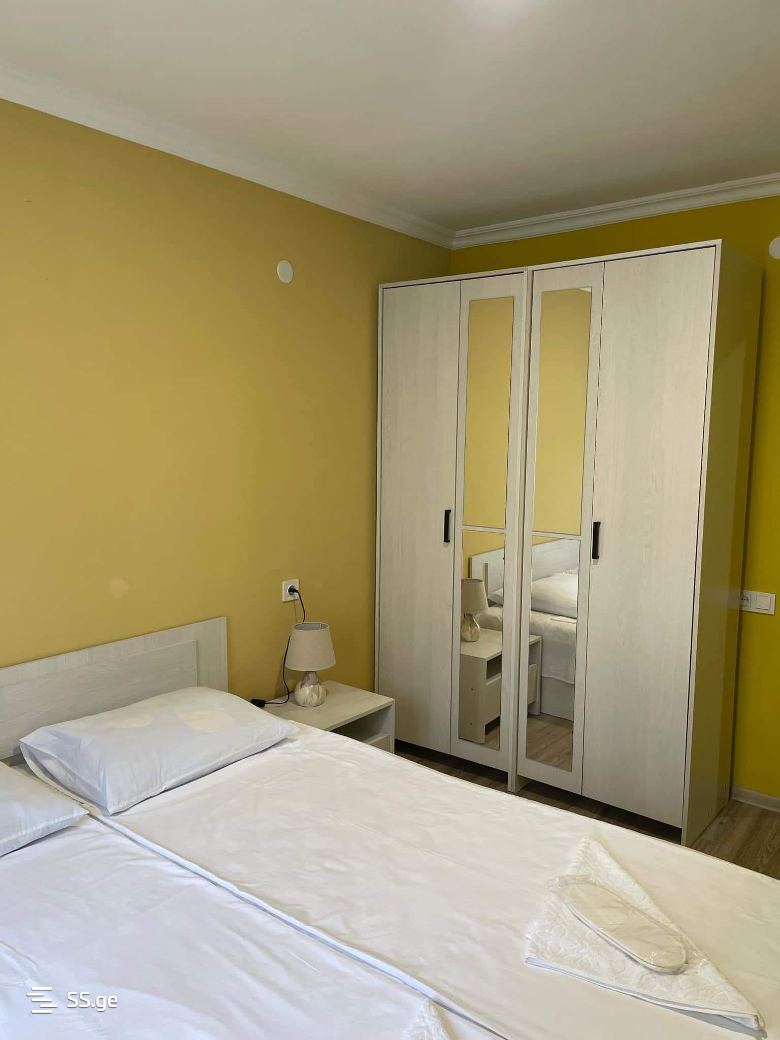 3 Room Flat Daily Rent. Telavi view 2
