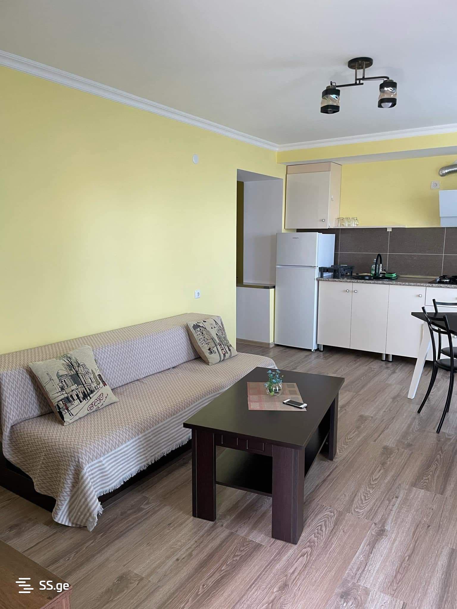 3 Room Flat Daily Rent. Telavi view 4