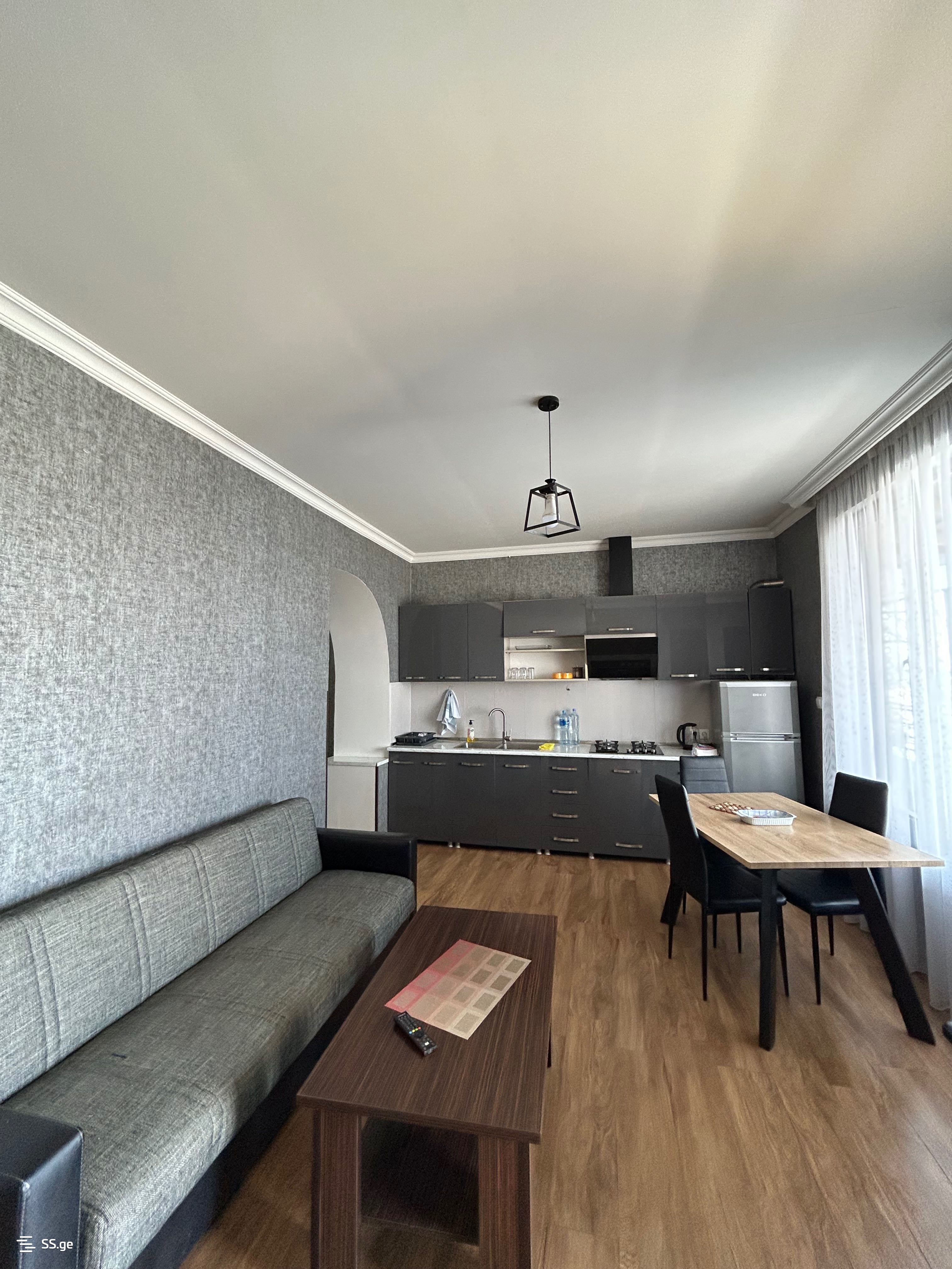 3 Room Flat Daily Rent. Telavi view 9