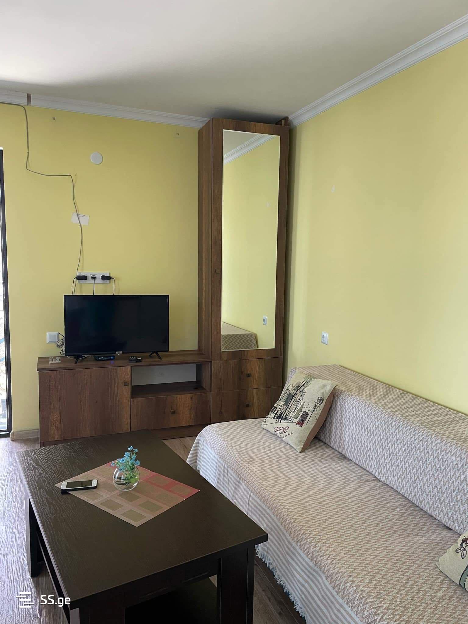 3 Room Flat Daily Rent. Telavi view 5