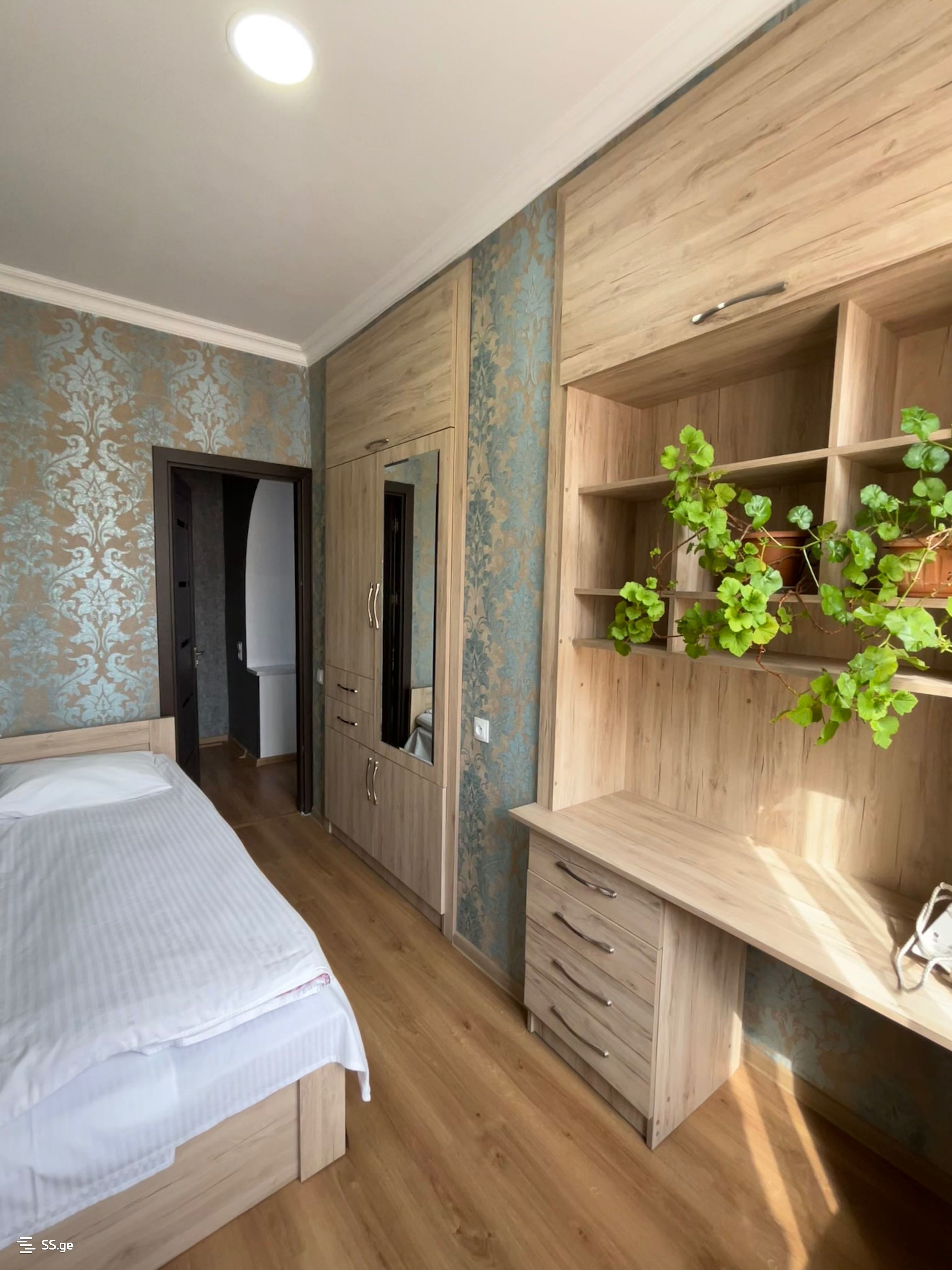 3 Room Flat Daily Rent. Telavi view 5