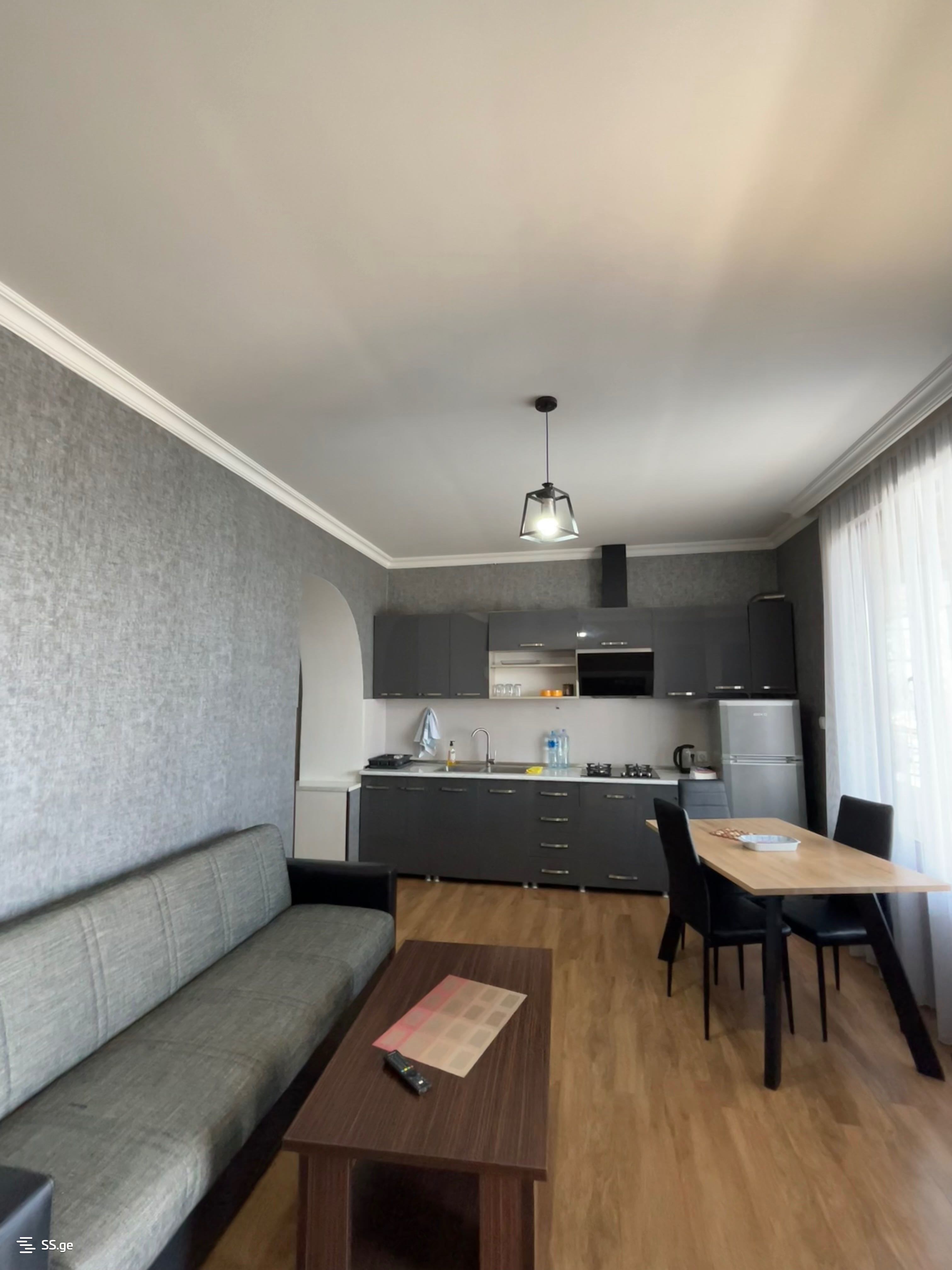 3 Room Flat Daily Rent. Telavi view 3