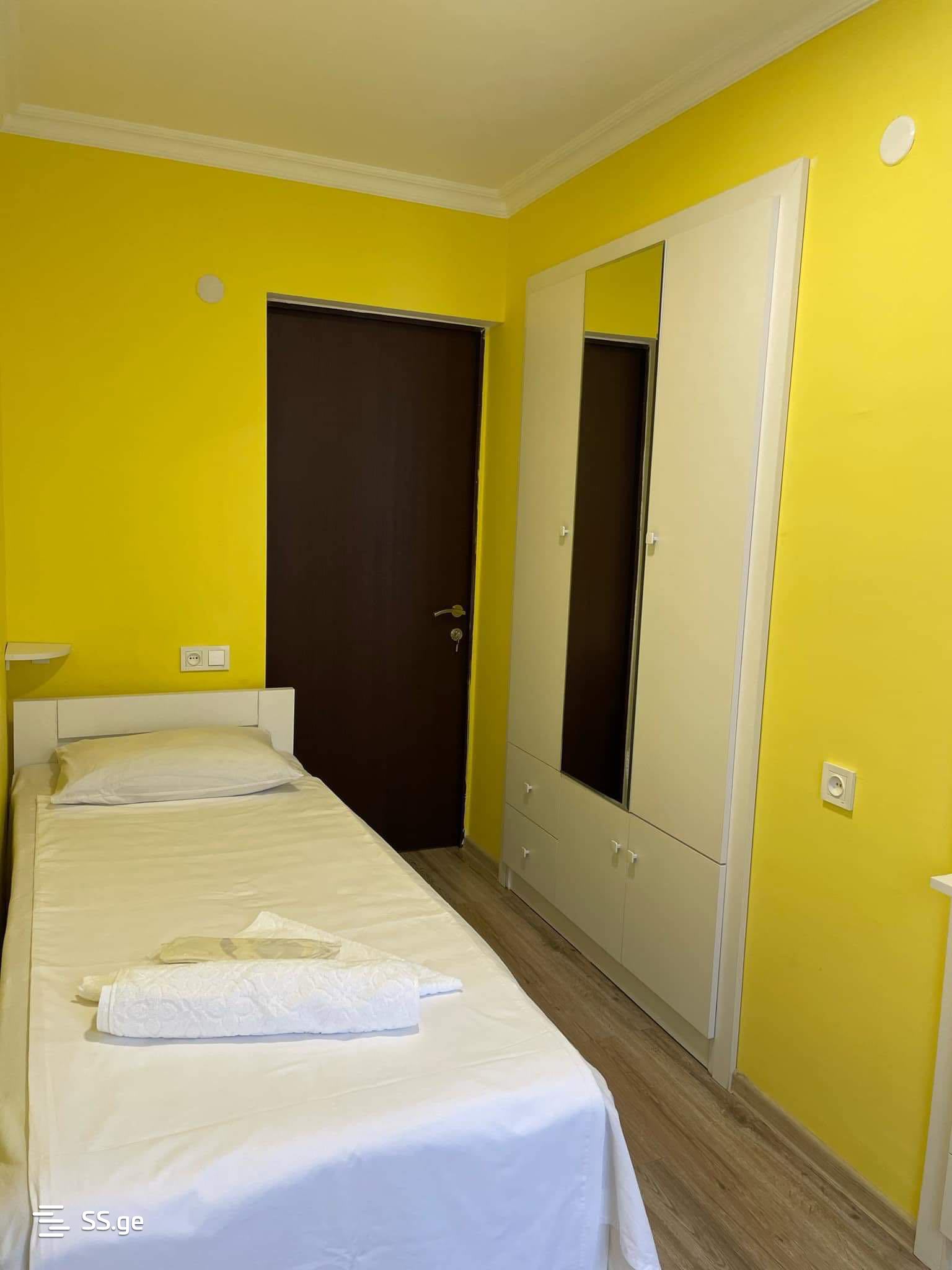 3 Room Flat Daily Rent. Telavi view 9