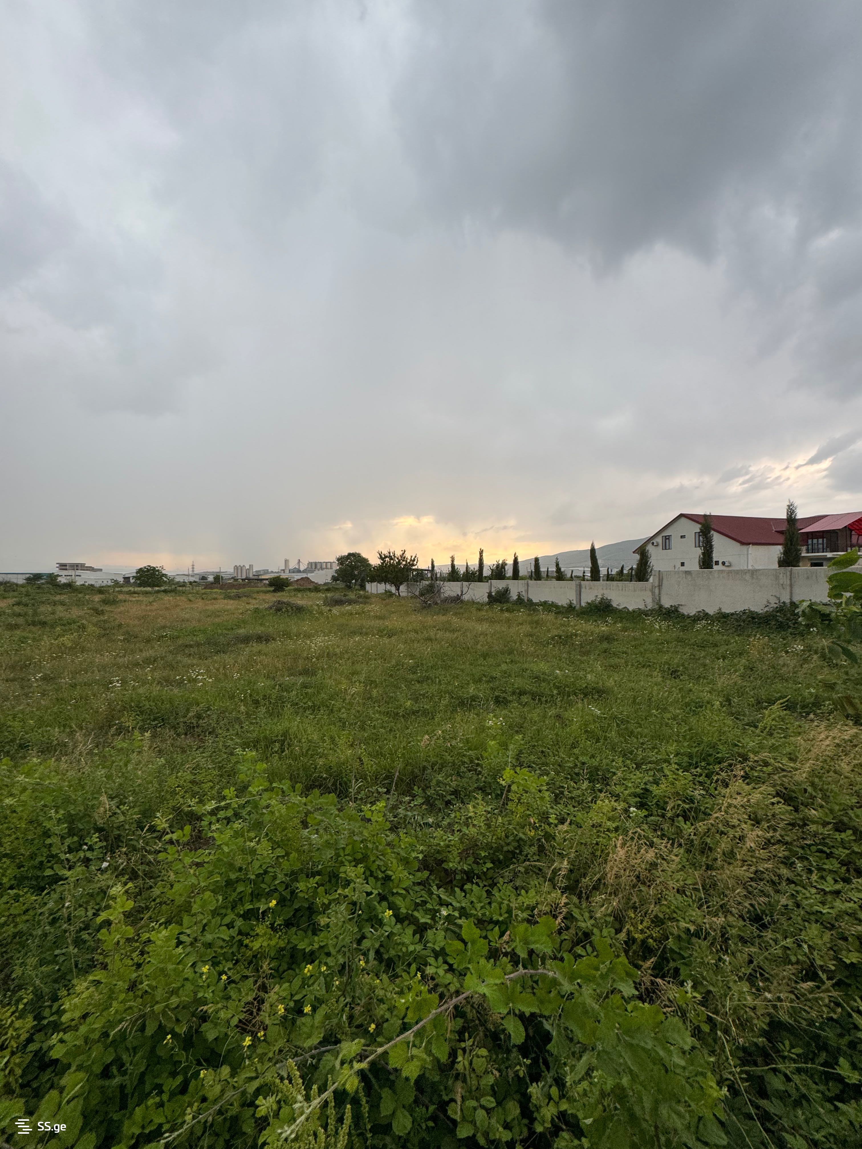 Land For Sale. Natakhtari view 5