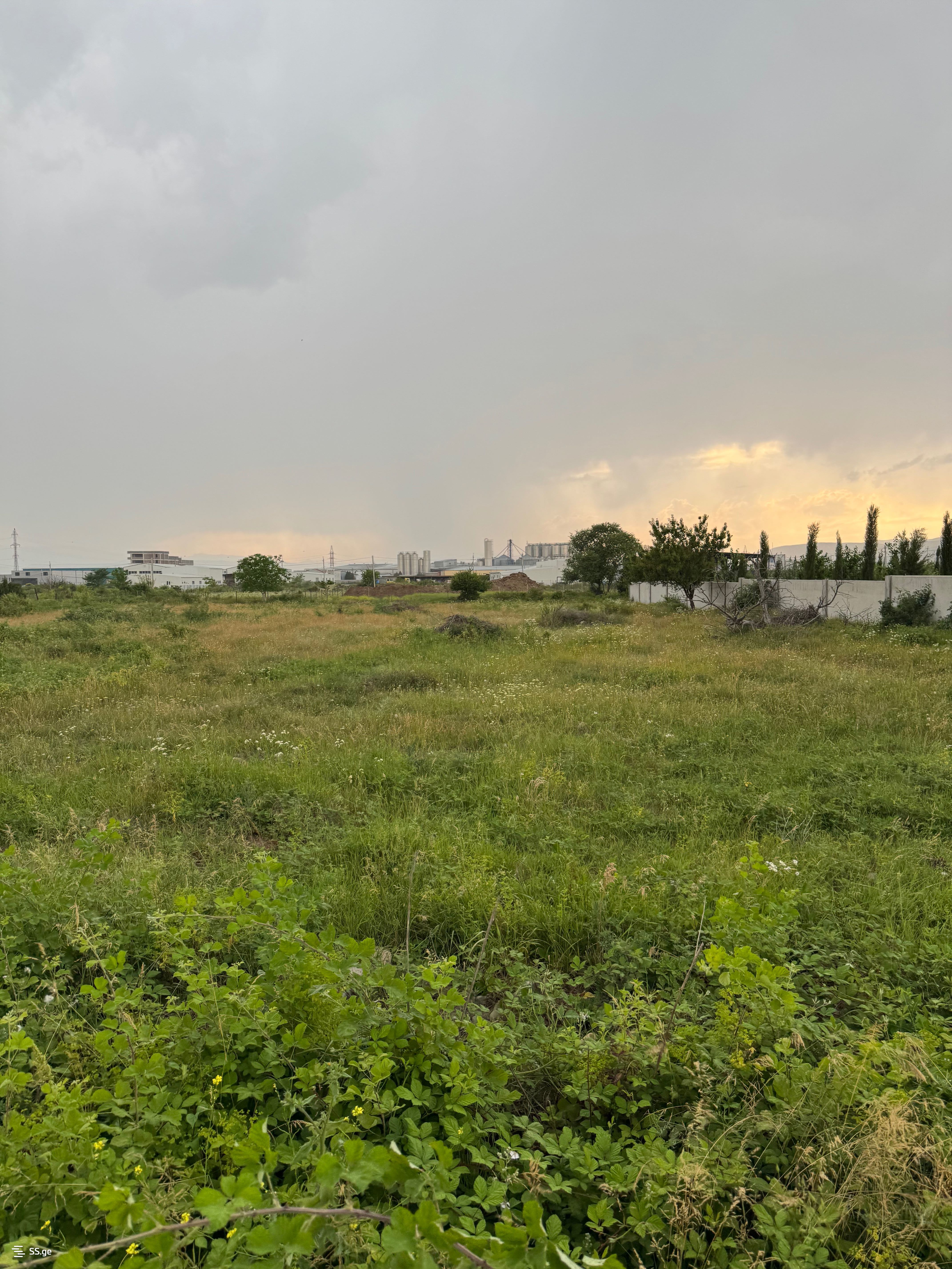 Land For Sale. Natakhtari view 6