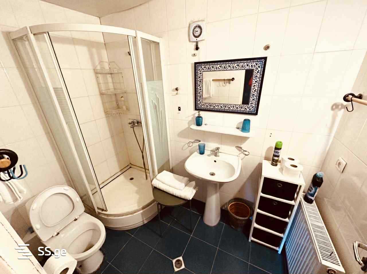 4 Room Private House For Rent. Bakuriani view 12
