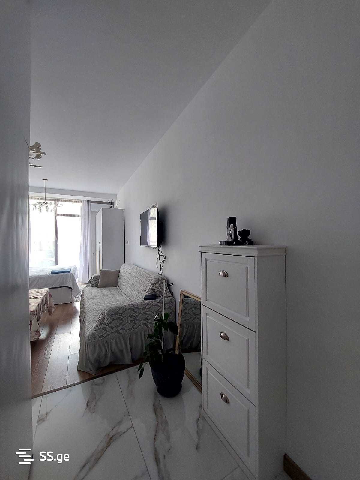 1 Room Flat Daily Rent. Batumi view 4