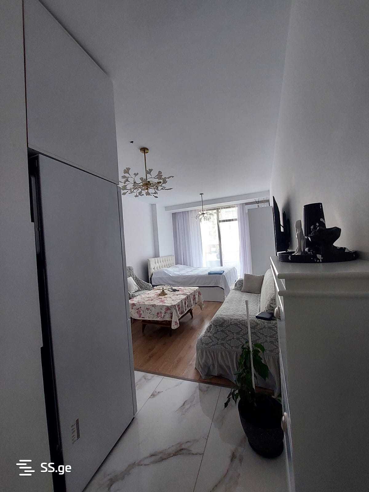1 Room Flat Daily Rent. Batumi view 8
