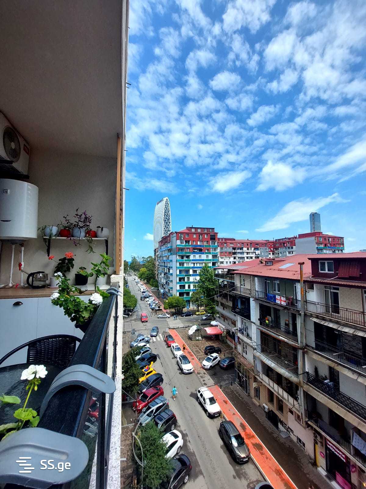 1 Room Flat Daily Rent. Batumi view 10