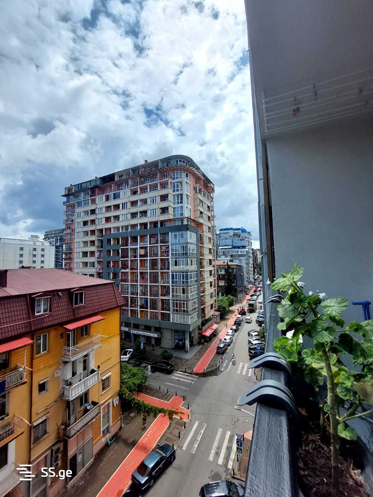 1 Room Flat Daily Rent. Batumi view 11