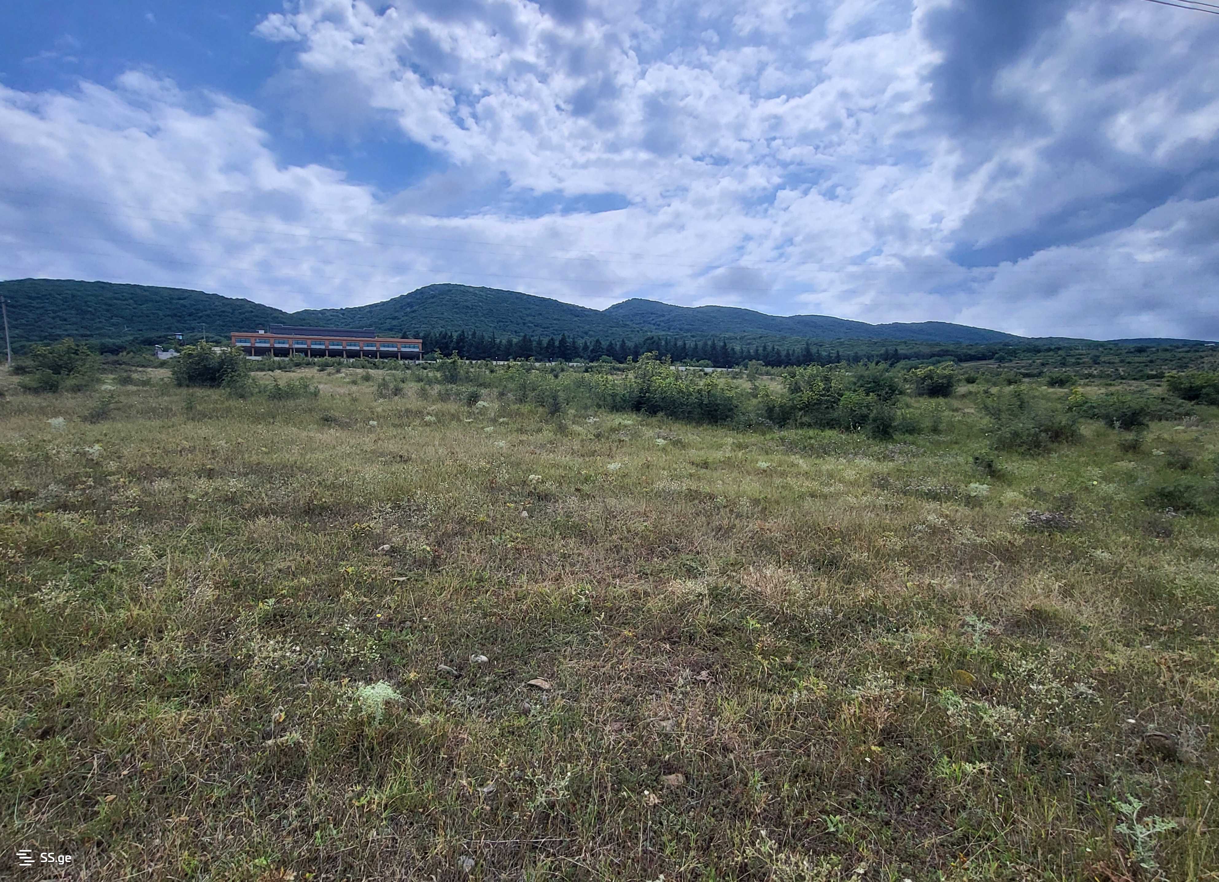 Land For Sale. Tserovani view 4
