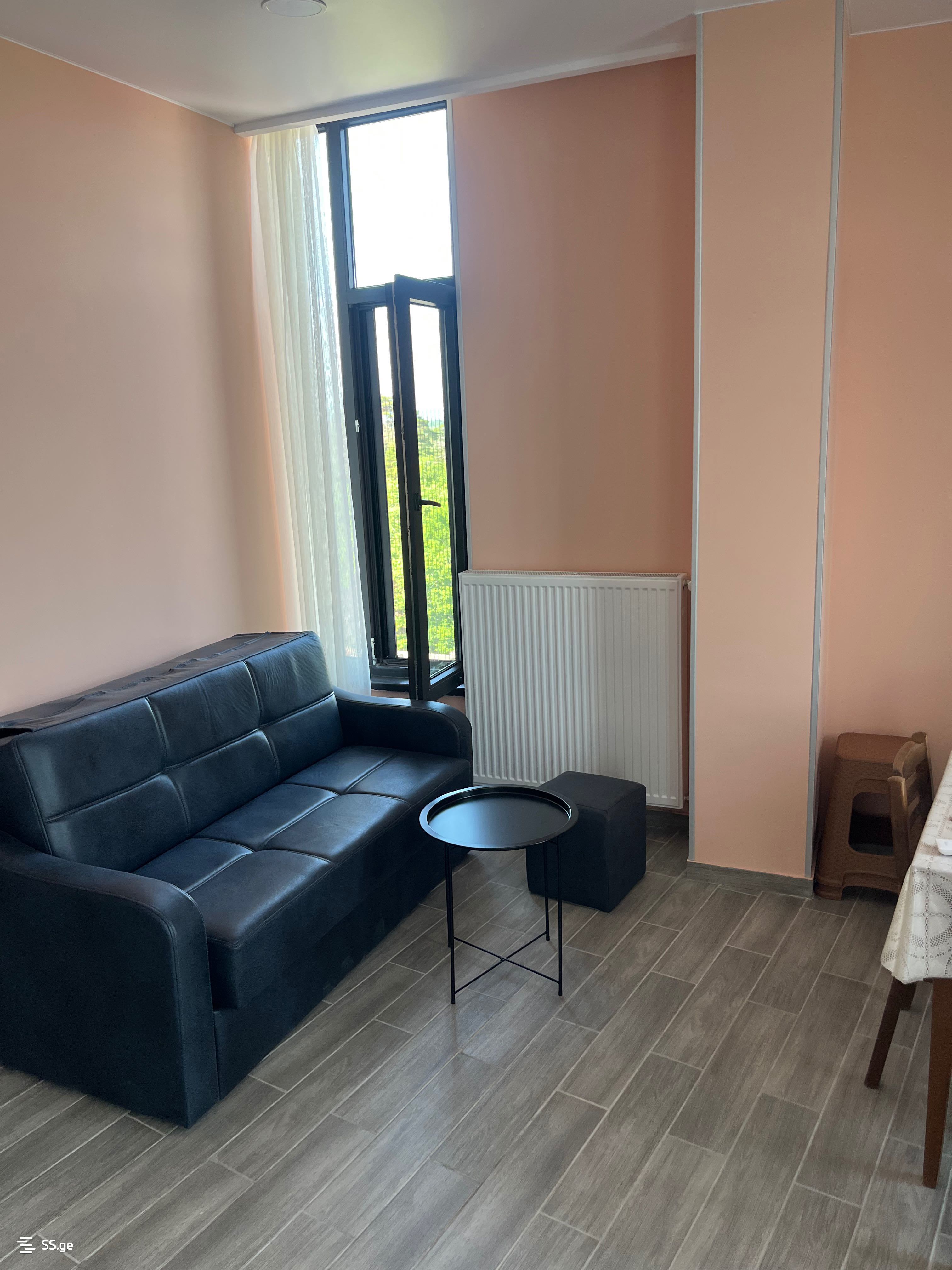 1 Room Flat For Rent. Kobuleti, 3 of 4
