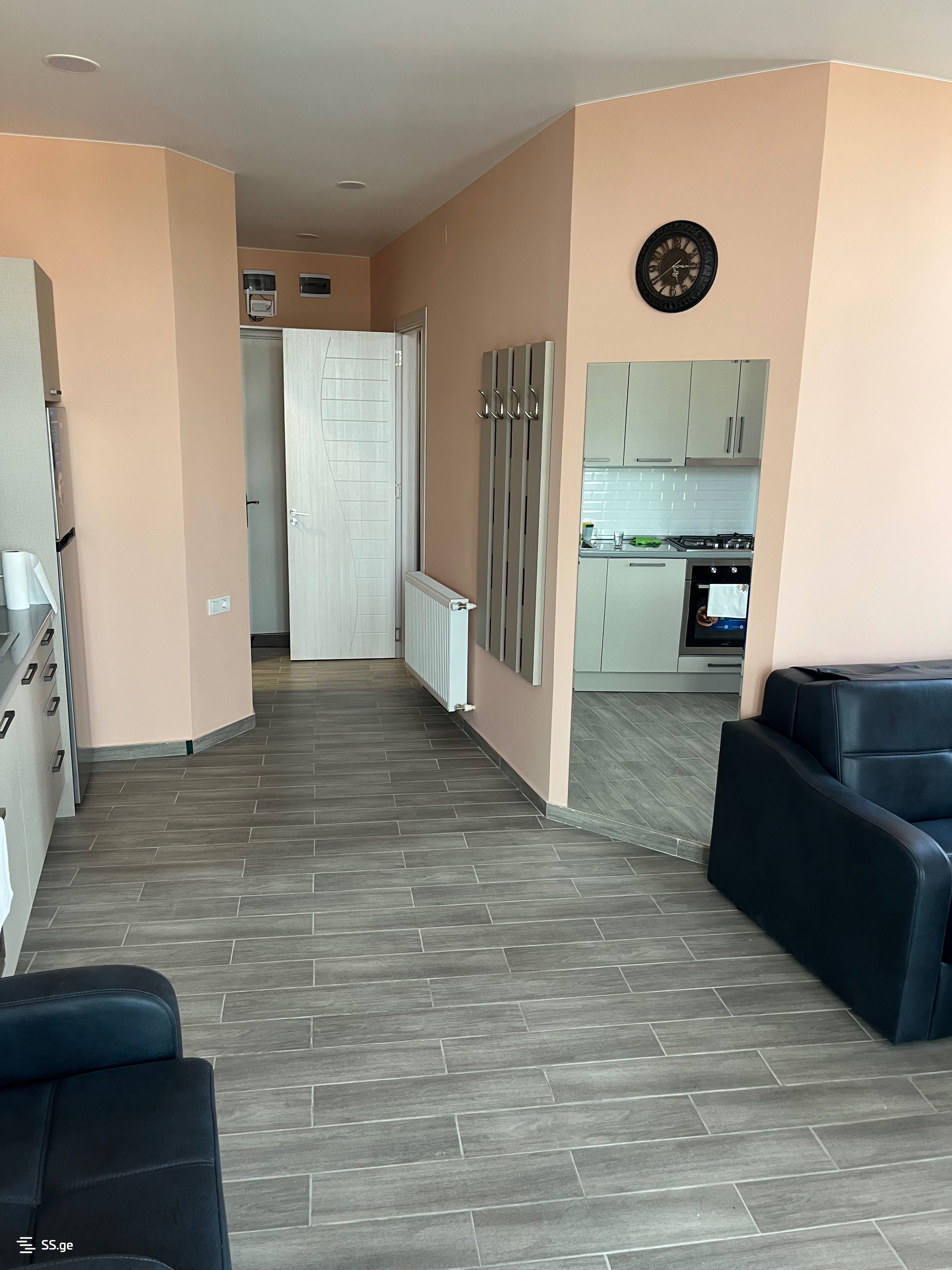 1 Room Flat For Rent. Kobuleti, 7 of 12