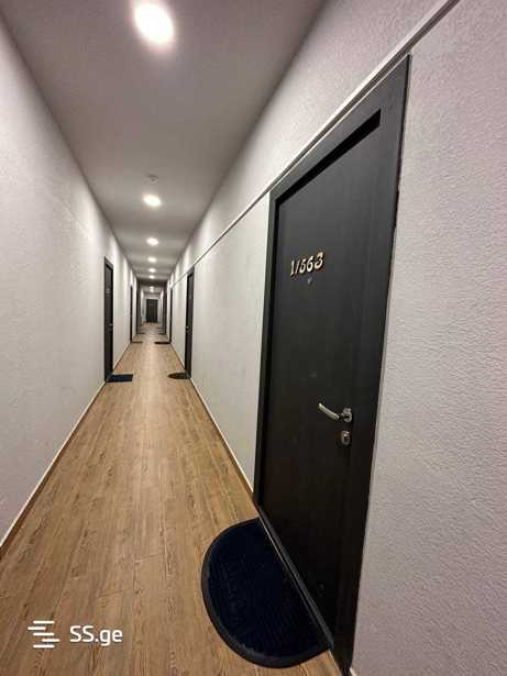 https://static.ss.ge/20250624/8_05a72c76-5510-4e4e-a23e-36b312e3c221_Thumb.jpg
