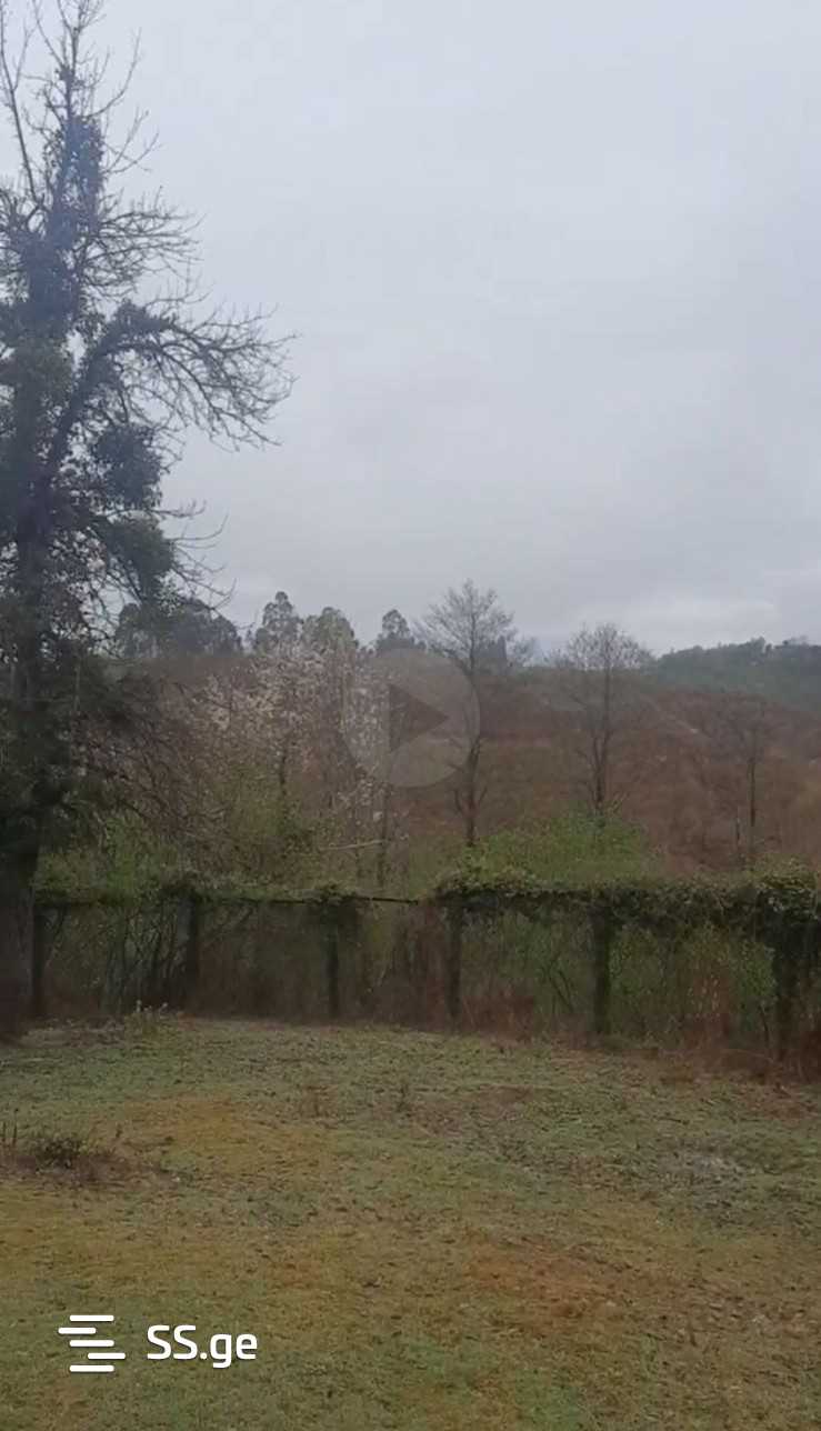 Land For Sale. Ozurgeti view 2