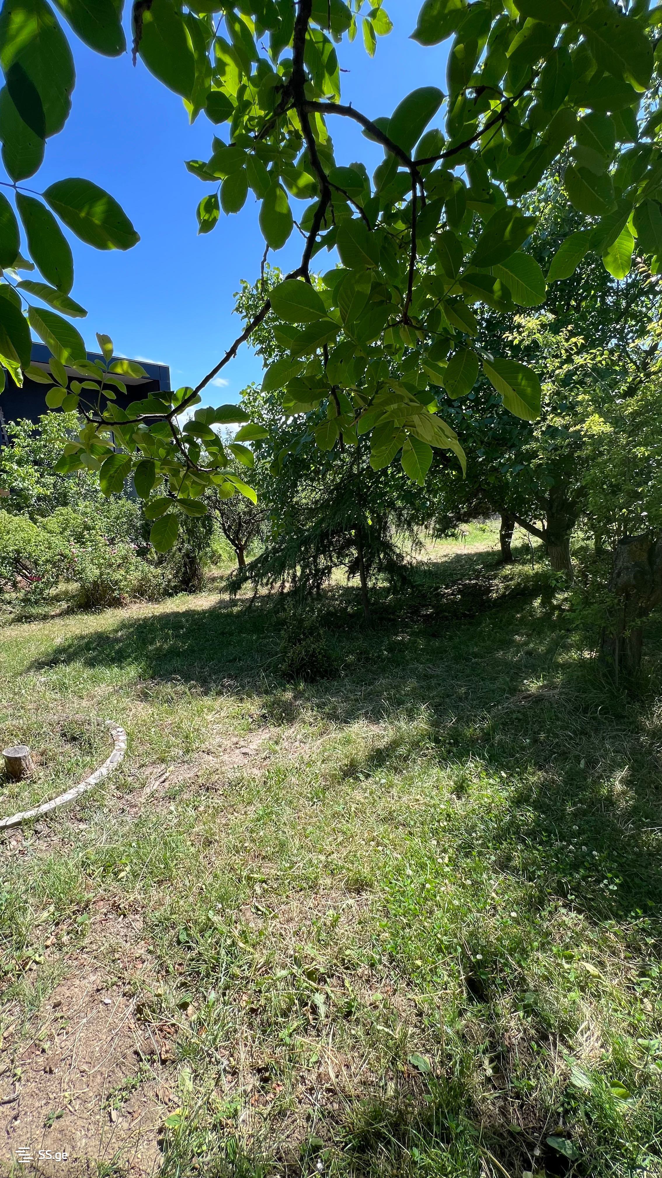4 Room Summer Cottage For Sale view 12