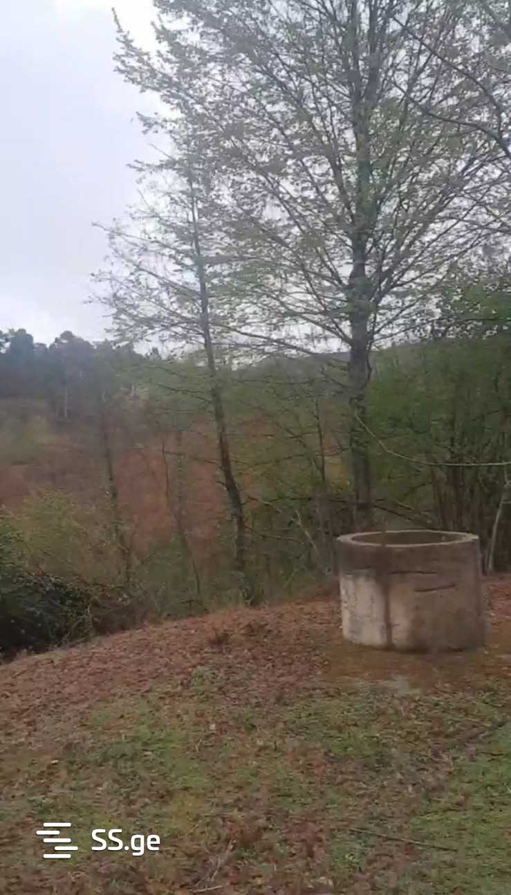 Land For Sale. Ozurgeti view 3