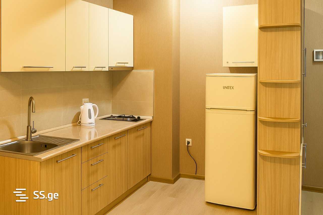 2 Room Flat Daily Rent. Bakuriani, 3 of 8