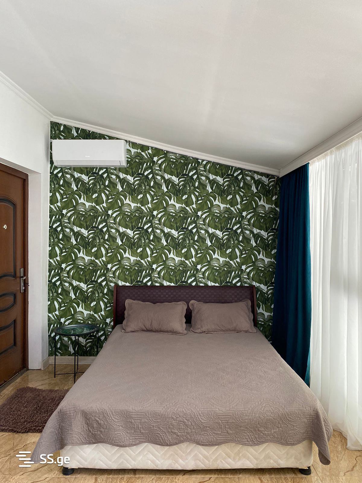 3 Room Private House Daily Rent. Shekvetili view 6