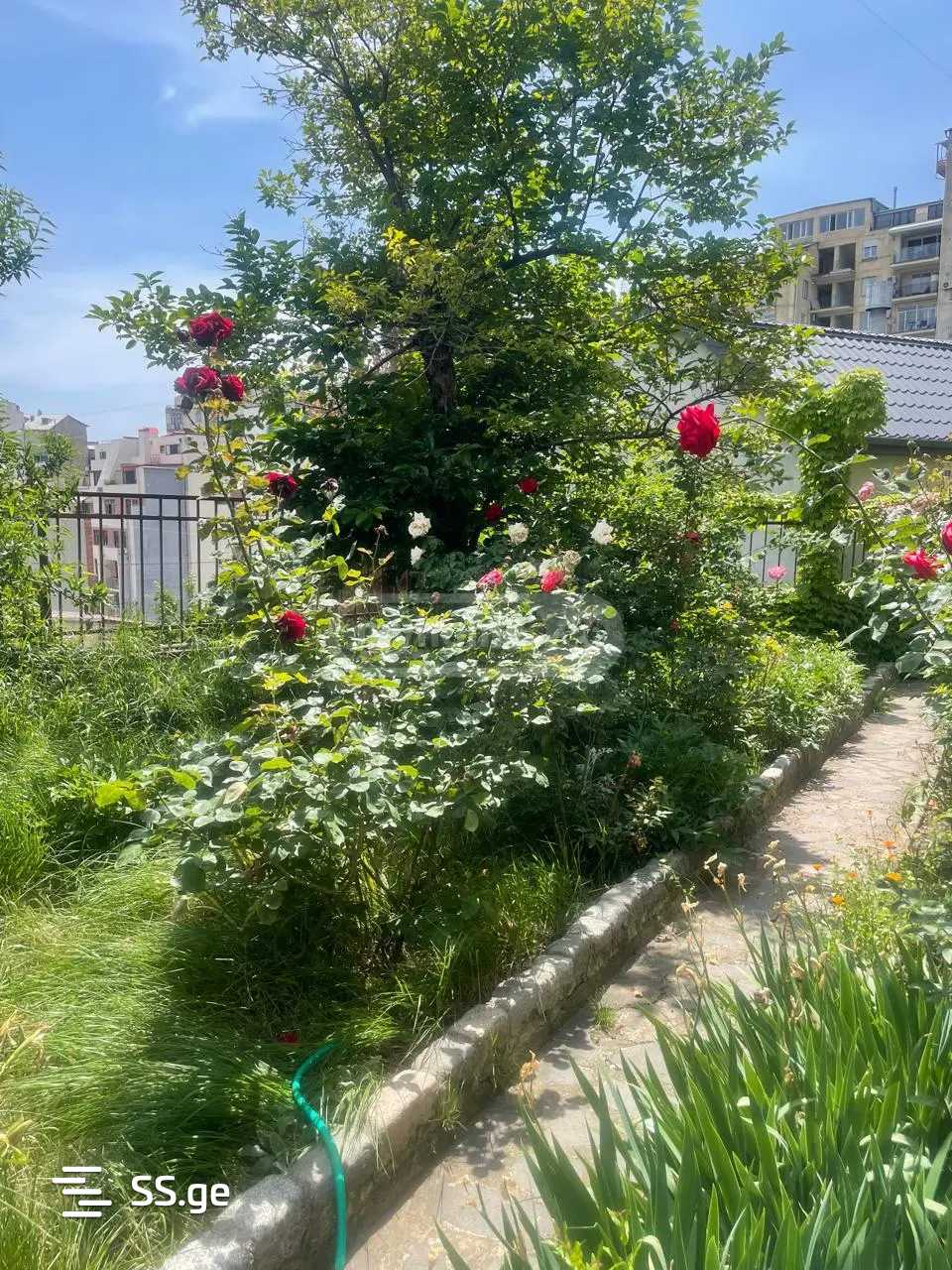 4 Room Private House For Rent. Vake, 9 of 12