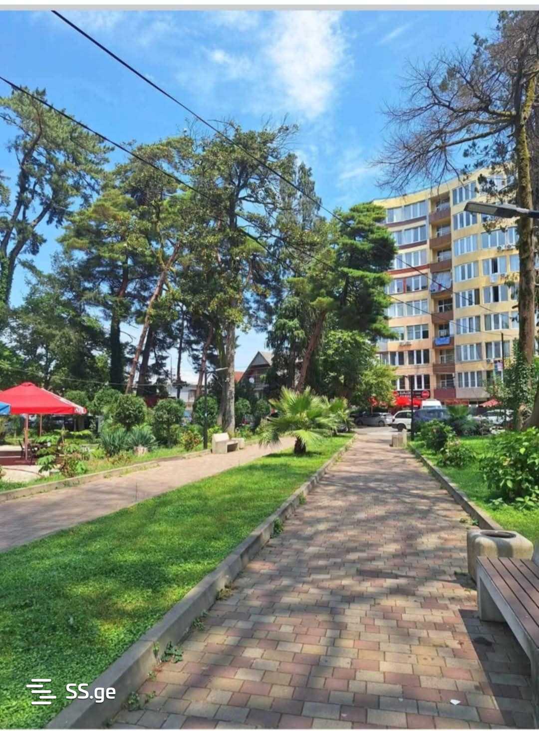 2 Room Flat Daily Rent. Kobuleti view 11