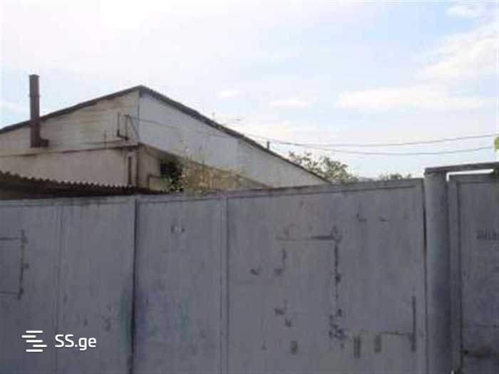 https://static.ss.ge/20250703/14_f182ce98-0a52-42f4-8f13-486edc71c923_Thumb.jpg