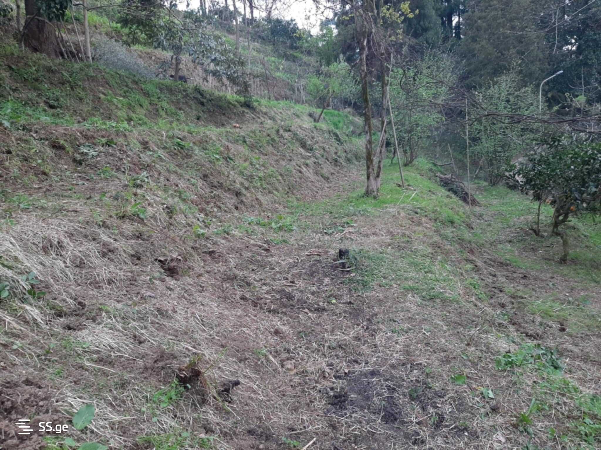 For Sale Sasoplo-Sameurneo Land Plot In Batumi view 19