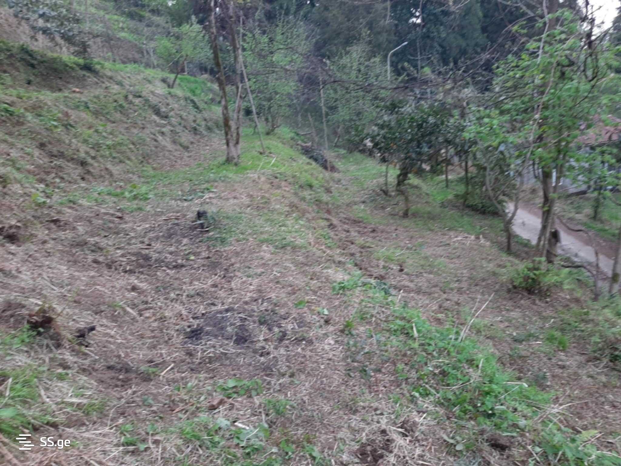 For Sale Sasoplo-Sameurneo Land Plot In Batumi view 11