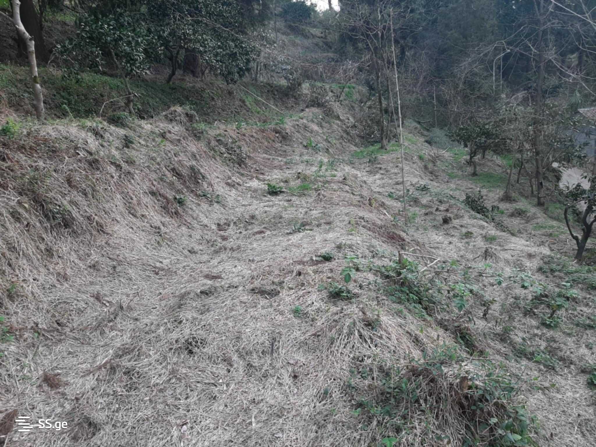 For Sale Sasoplo-Sameurneo Land Plot In Batumi view 13