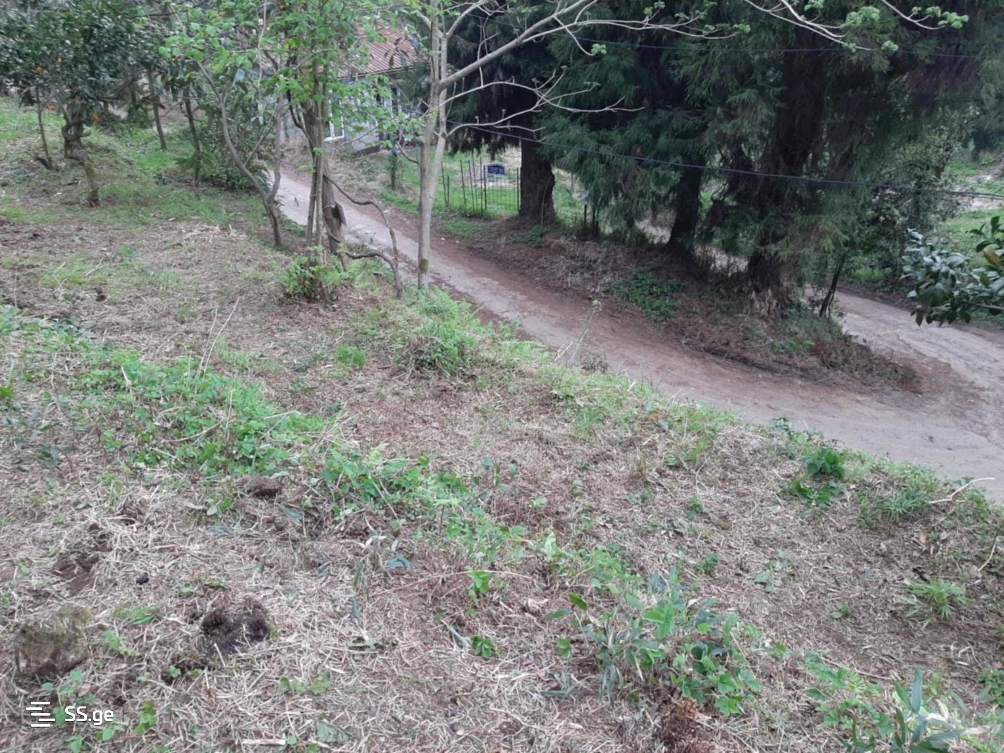 For Sale Sasoplo-Sameurneo Land Plot In Batumi view 12