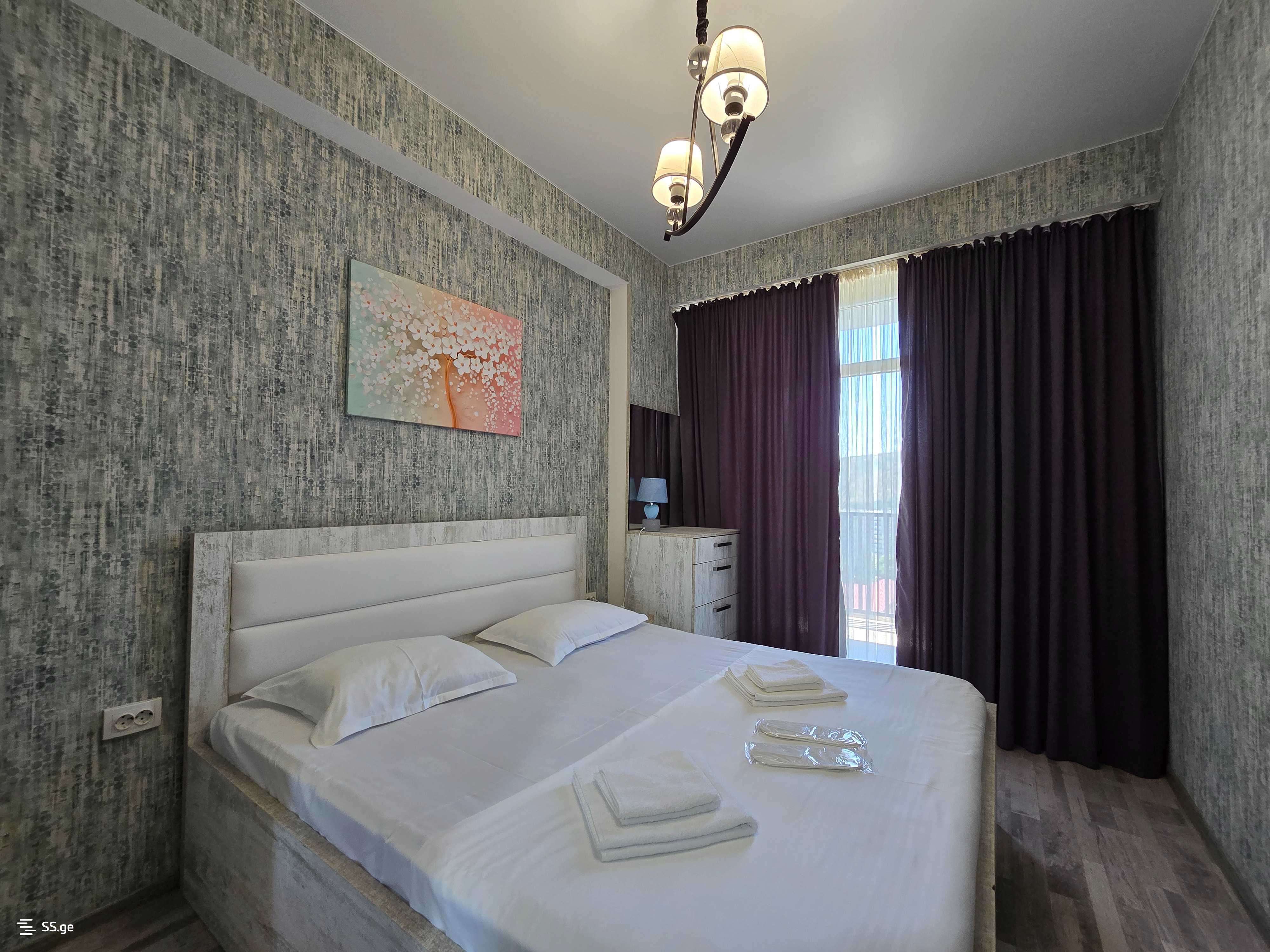 2 room Flat Daily rent. Isani - Ansicht 6