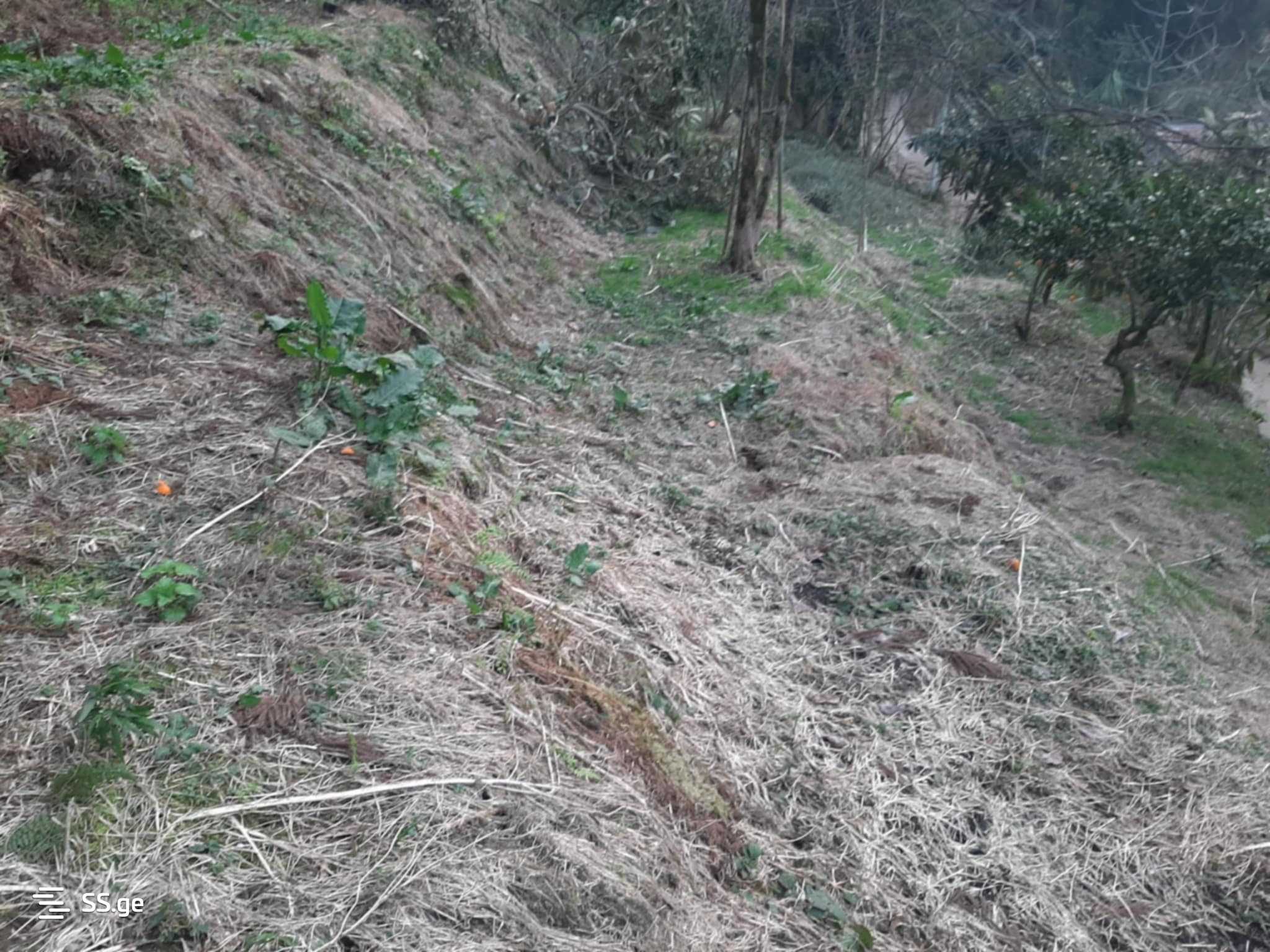 For Sale Sasoplo-Sameurneo Land Plot In Batumi view 18