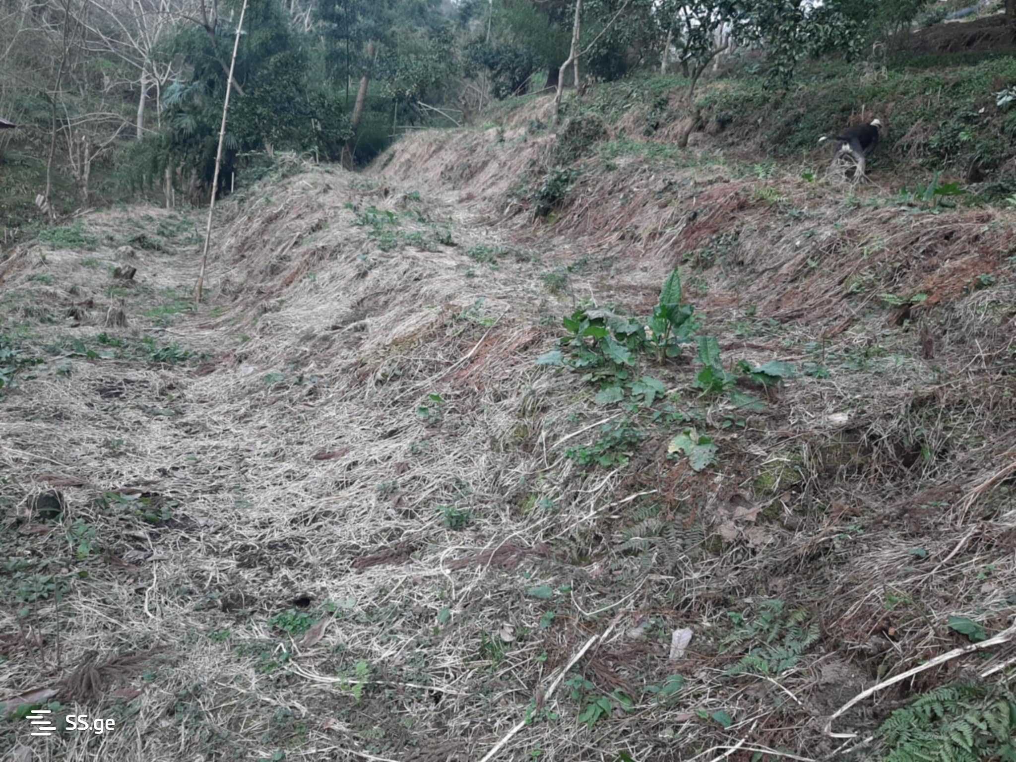 For Sale Sasoplo-Sameurneo Land Plot In Batumi view 16