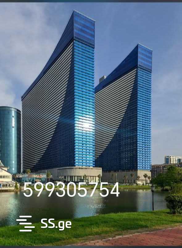 1 Room Flat Daily Rent. Batumi view 1