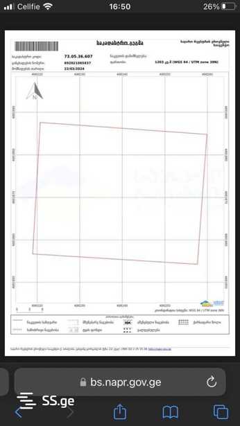 https://static.ss.ge/20250704/4_e0f9fc2c-d265-40ae-929d-f5da46f8cbe6_Thumb.jpg